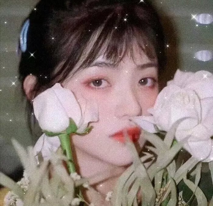 下颌骨